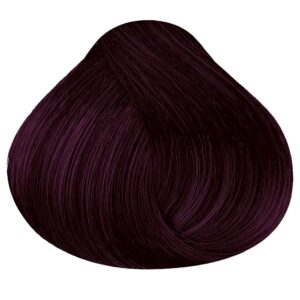 Tinte Lissia 1.6 Negro Violeta 60g