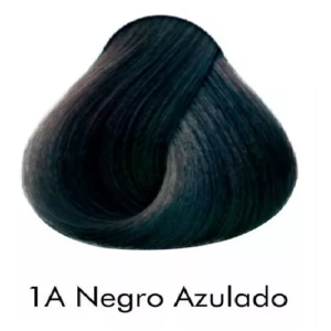 Tinte Kuul x 60 mL  1A Negro Azulado